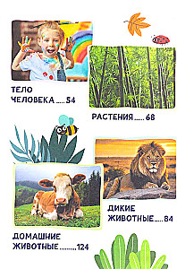 The Big Encyclopedia for Kids. 300 Questions and Answers