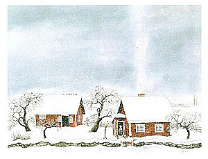 Winter Stories and One Spring Story in Reserve (set of 4 books)