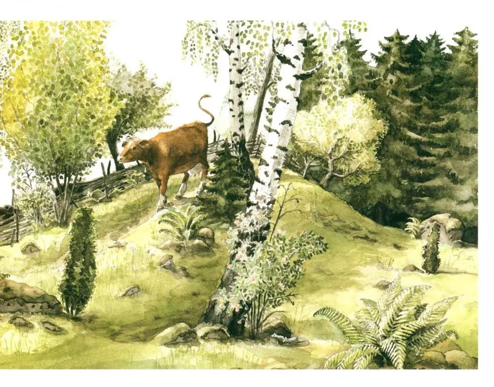 Winter Stories and One Spring Story in Reserve (set of 4 books)