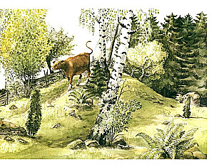 Winter Stories and One Spring Story in Reserve (set of 4 books)