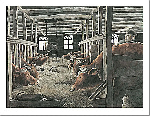 Winter Stories and One Spring Story in Reserve (set of 4 books)