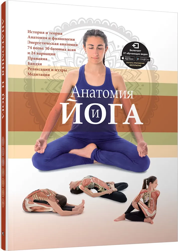 Anatomie und Yoga
