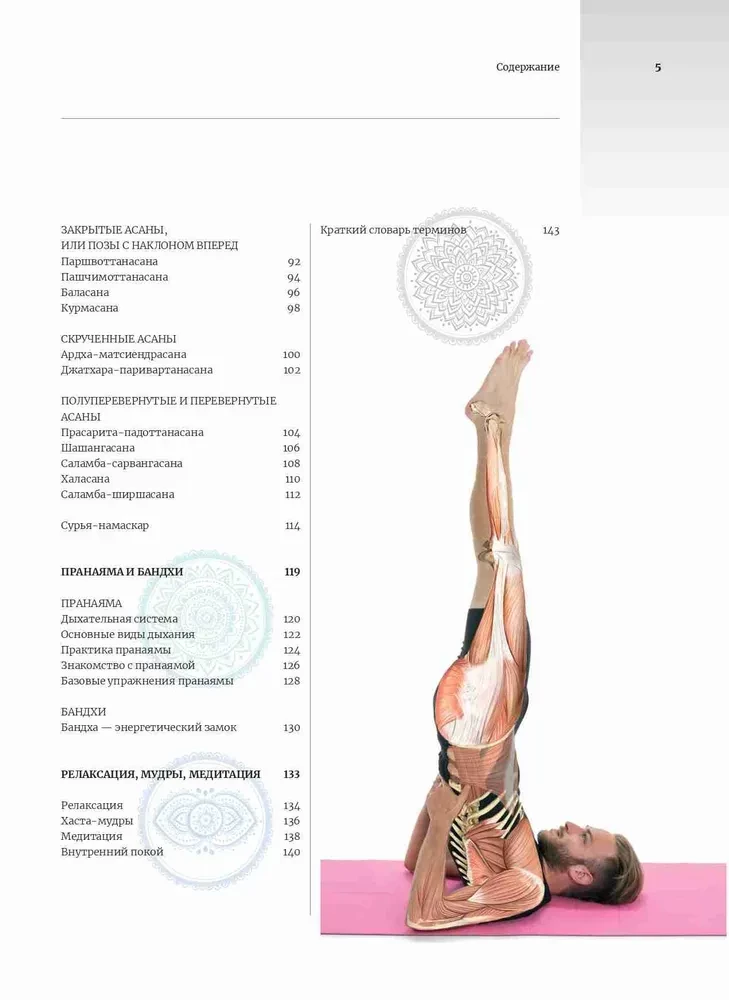 Anatomie und Yoga