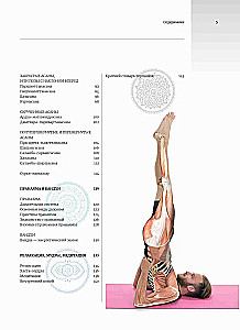 Anatomie und Yoga