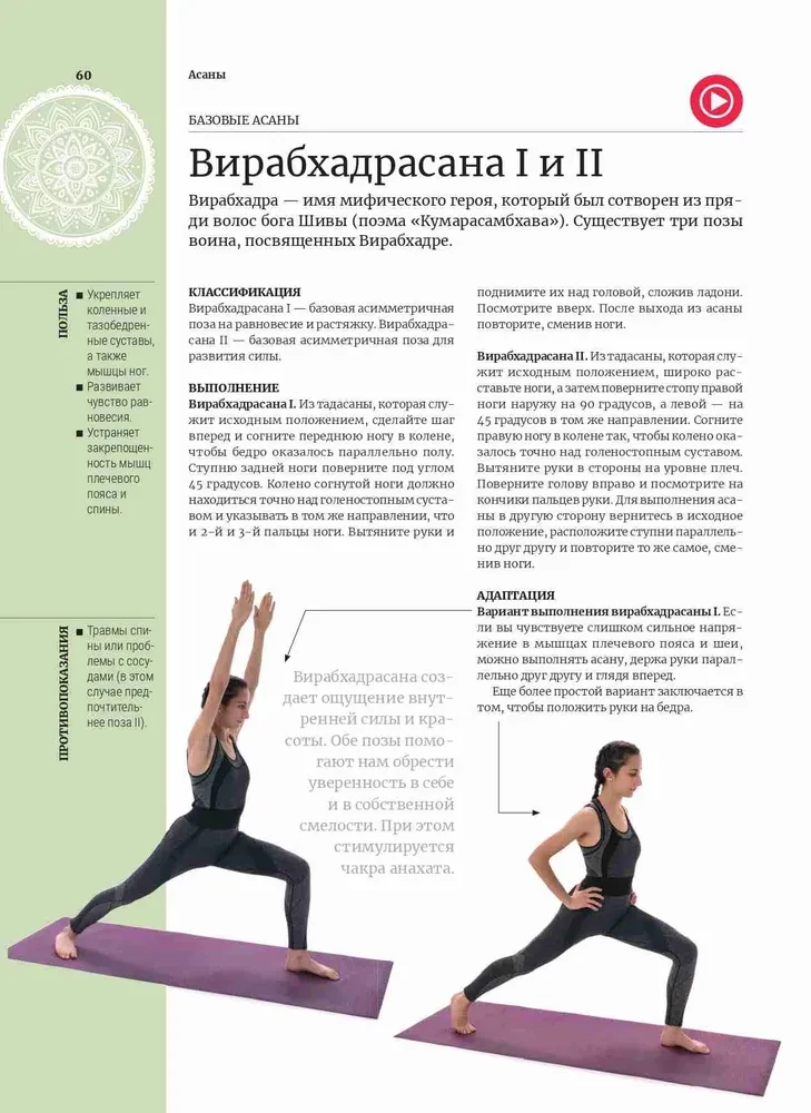Anatomie und Yoga