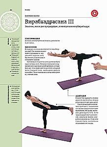 Anatomie und Yoga