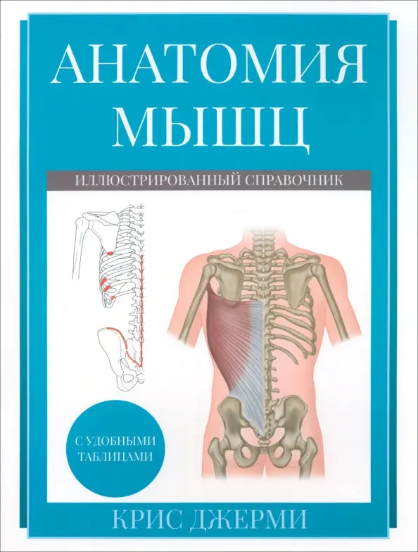 Anatomia mięśni. Ilustrowany przewodnik