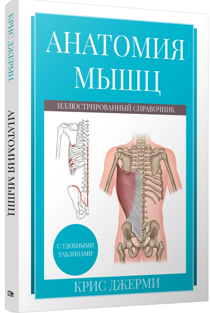 Raumenų anatomija. Iliustruotas vadovas
