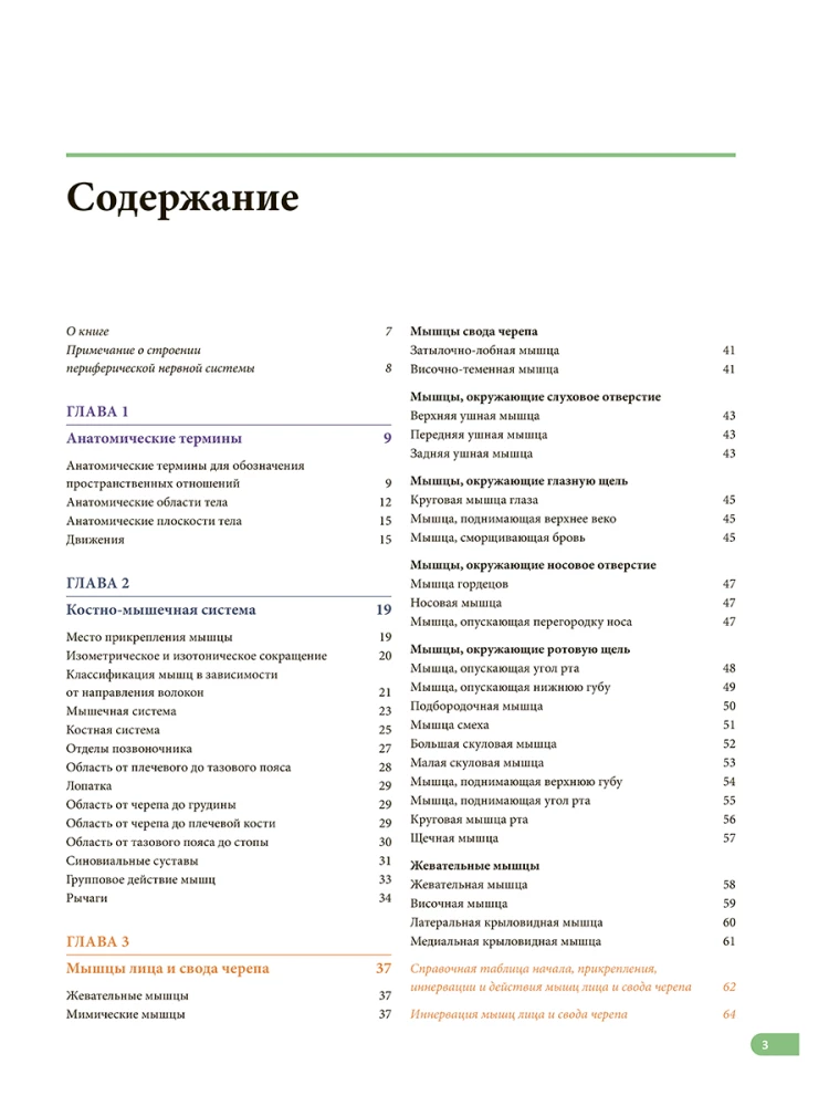 Raumenų anatomija. Iliustruotas vadovas