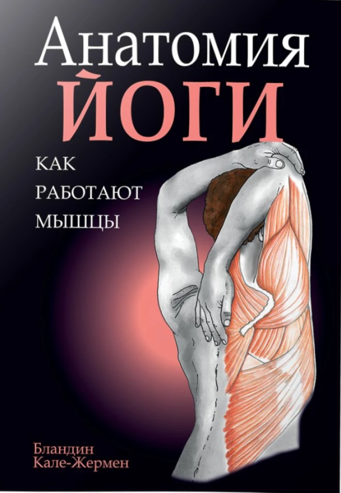 Анатомия йоги: как работают мышцы