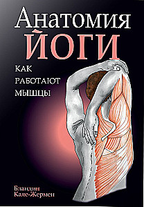 Анатомия йоги: как работают мышцы