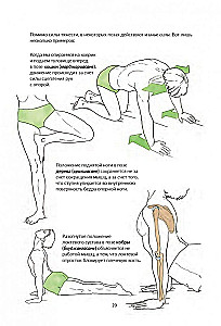 Анатомия йоги: как работают мышцы
