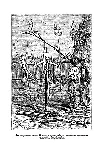 The Children of Captain Grant. 20,000 Leagues Under the Sea. The Mysterious Island