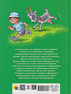 The Sun in Peas. The Adventures of Antoshka and Kostik