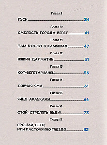 The Sun in Peas. The Adventures of Antoshka and Kostik