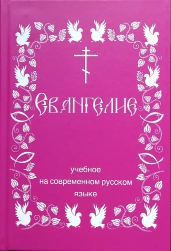 Das Schul-Evangelium. In modernem Russisch