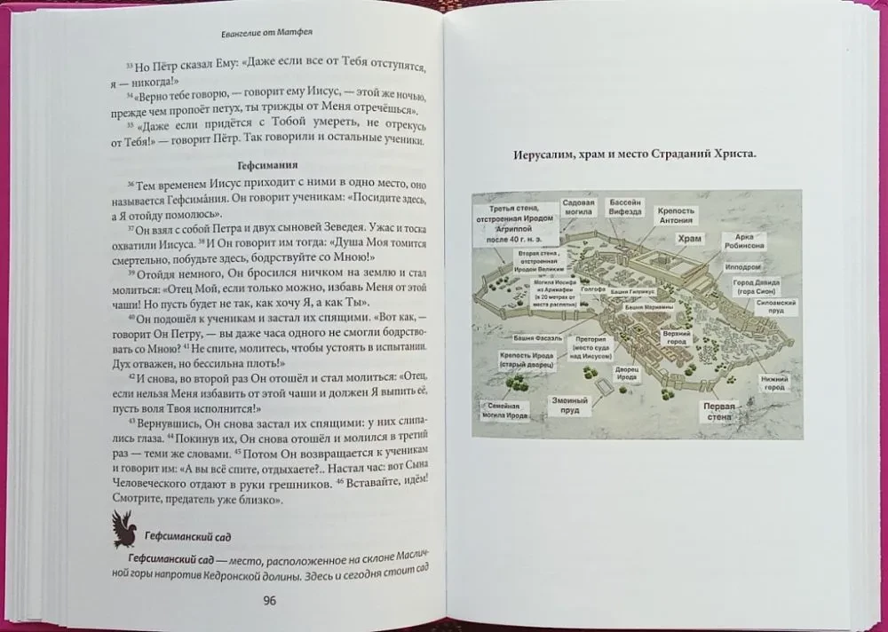 Das Schul-Evangelium. In modernem Russisch