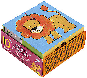 Nutikaubikud alusel. 4 tükki. Kuumas Aafrikas