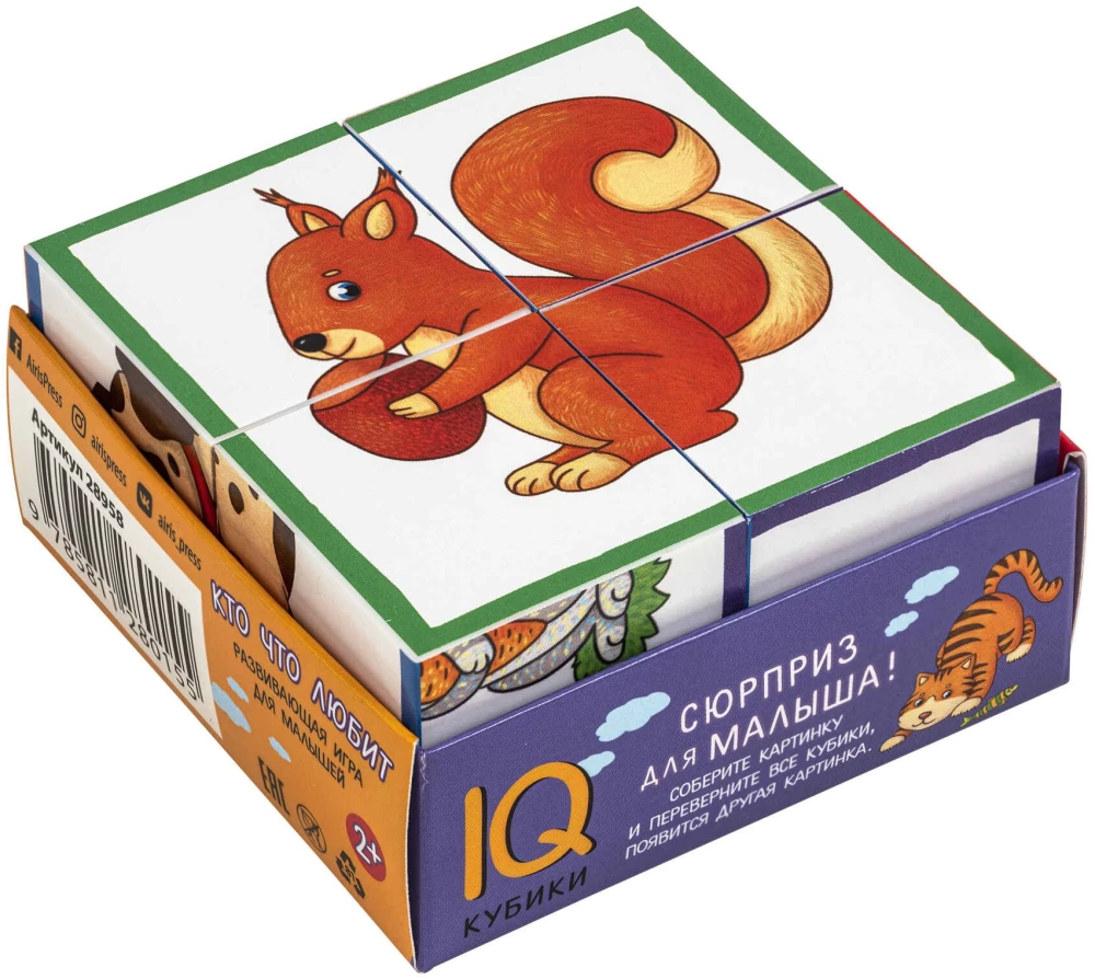 Smart Cubes in a Tray. 4 Pieces. Who Likes What