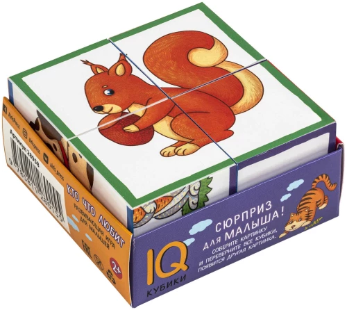 Išmanieji kubeliai dėžutėje. 4 vnt. Kas ką mėgsta