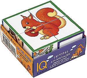 Smart Cubes in a Tray. 4 Pieces. Who Likes What