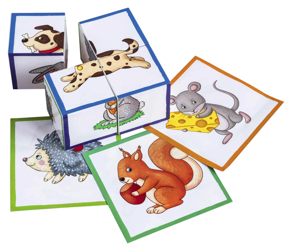 Smart Cubes in a Tray. 4 Pieces. Who Likes What