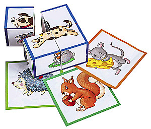 Smart Cubes in a Tray. 4 Pieces. Who Likes What