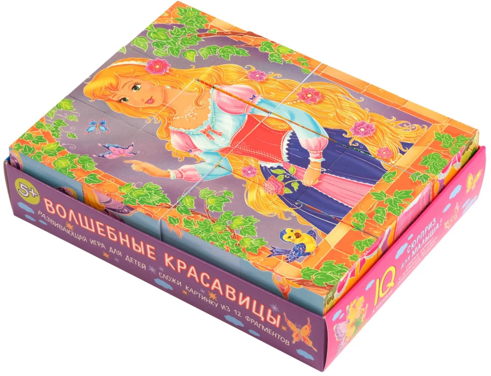 Умные кубики  в поддончике. 12 штук. Волшебные красавицы