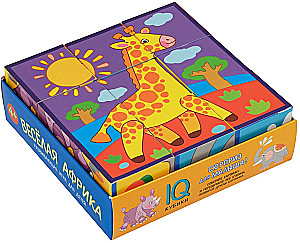 Smart Cubes in a Tray. 9 pieces. Fun Africa