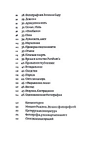 Camera Lucida. Kommentar zur Fotografie