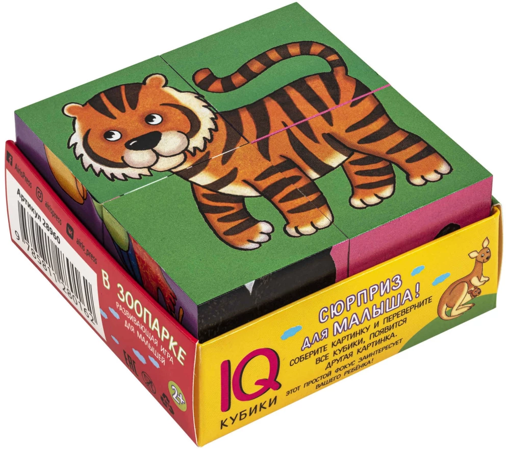 Smart cubes in a tray. 4 pieces. At the zoo