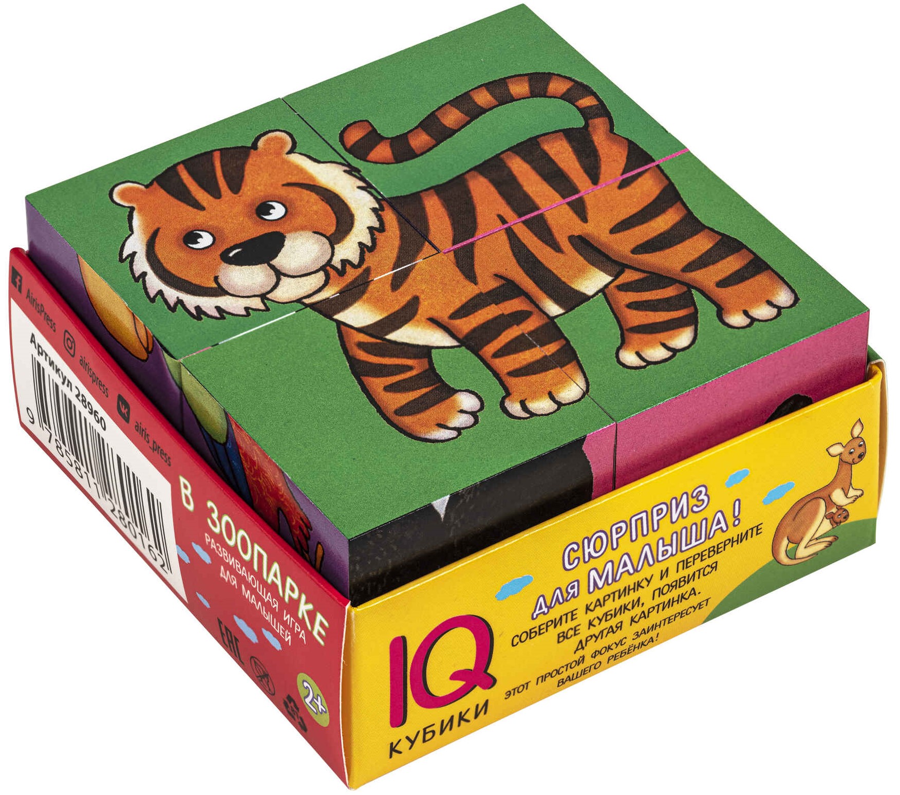 Smart cubes in a tray. 4 pieces. At the zoo