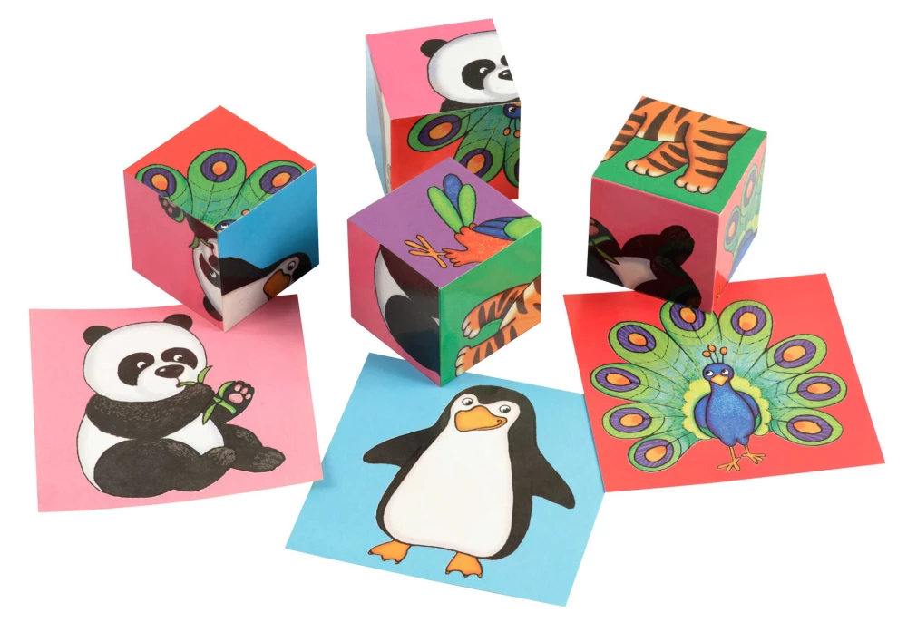 Smart cubes in a tray. 4 pieces. At the zoo