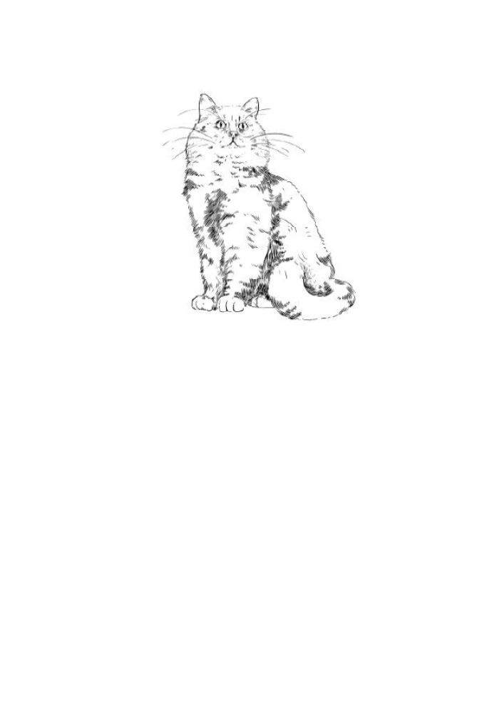 Diary of the Redhead