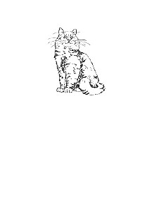 Diary of the Redhead