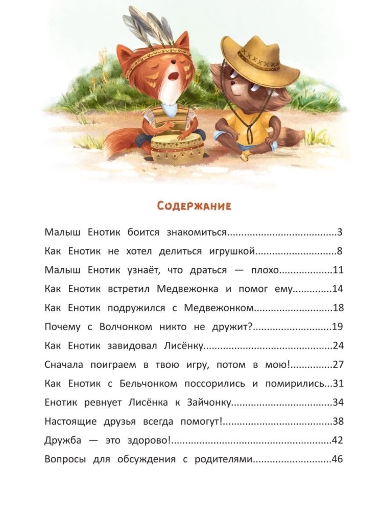 The Raccoon Finds Friends