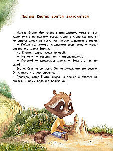 The Raccoon Finds Friends