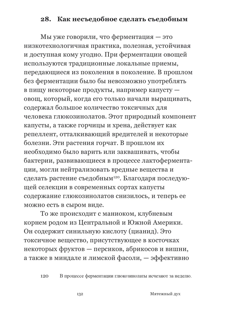 Rebellious Spirit. A Brief Philosophy of Fermentation