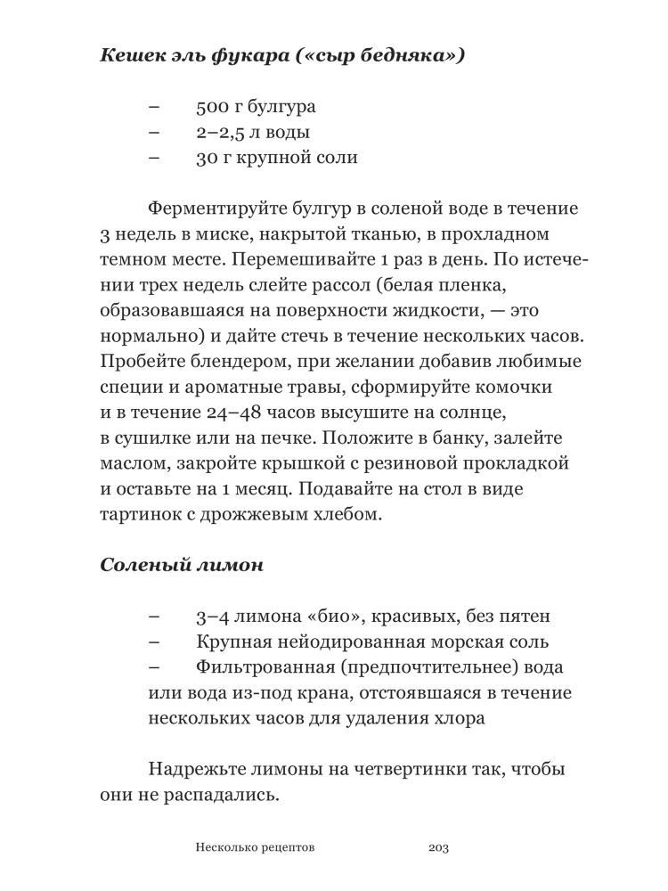 Rebellious Spirit. A Brief Philosophy of Fermentation