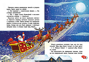 Detective Shirley Brooks. The Case of the Missing Nose