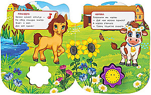 Na farmie. Drużynina