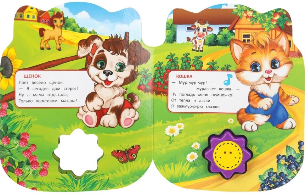 Na farmie. Drużynina