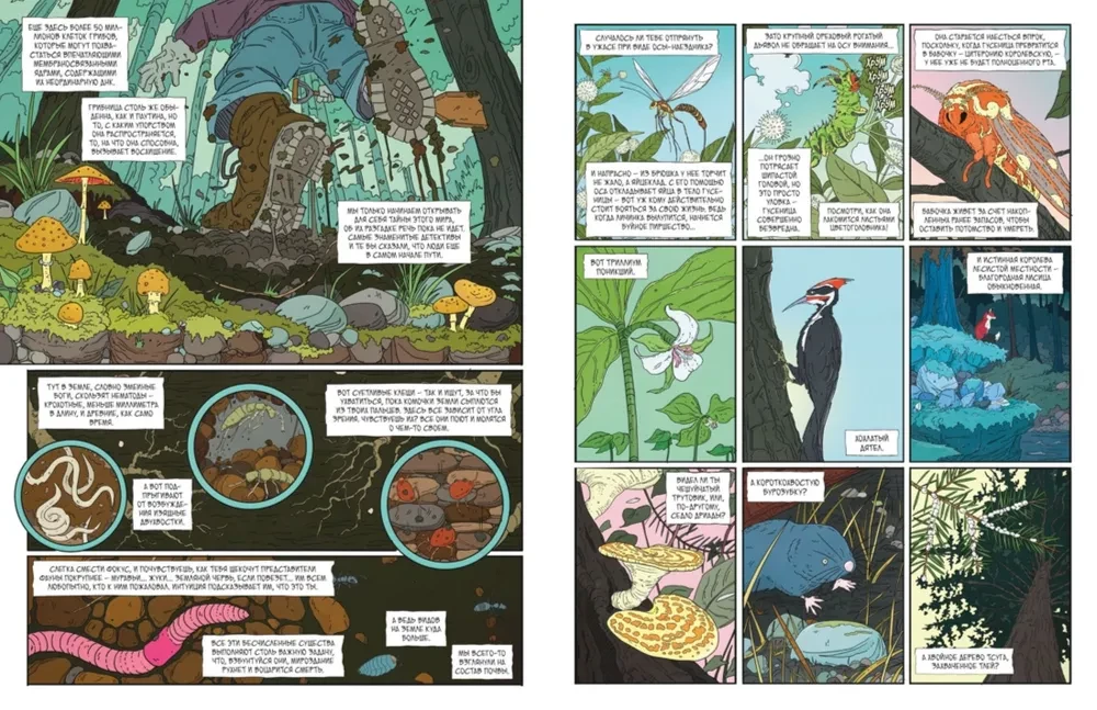 Rycerz-grzyb. Księga 1