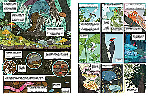 Rycerz-grzyb. Księga 1