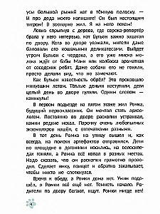 Kaķis Buljons, pūkains detektīvs