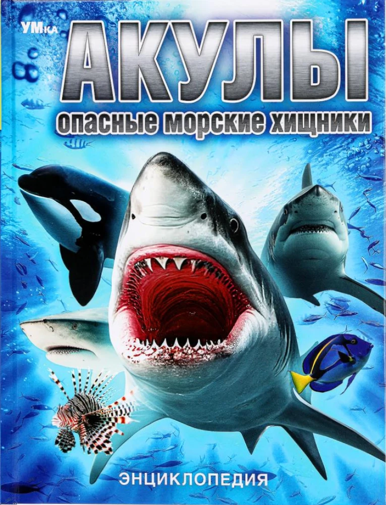 Rekiny. Niebezpieczne morskie drapieżniki