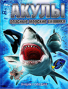 Rekiny. Niebezpieczne morskie drapieżniki