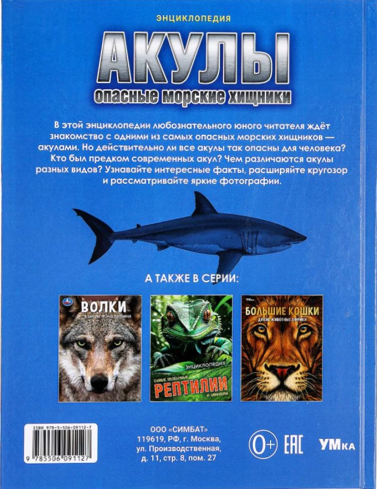 Rekiny. Niebezpieczne morskie drapieżniki