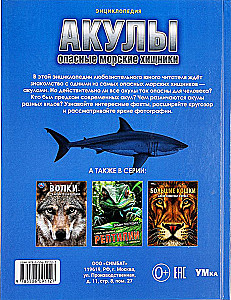 Rekiny. Niebezpieczne morskie drapieżniki