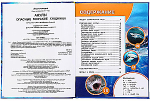 Rekiny. Niebezpieczne morskie drapieżniki